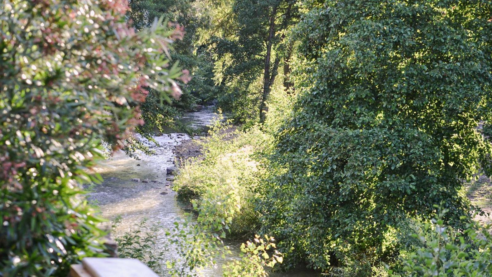 Gites de la Soulondre Lodève Extérieur photo