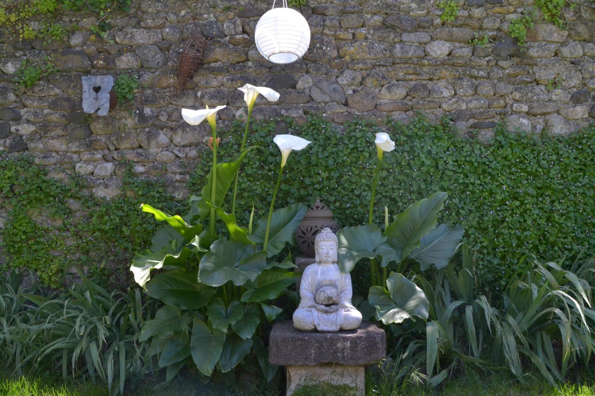 Gites de la Soulondre Lodève Extérieur photo